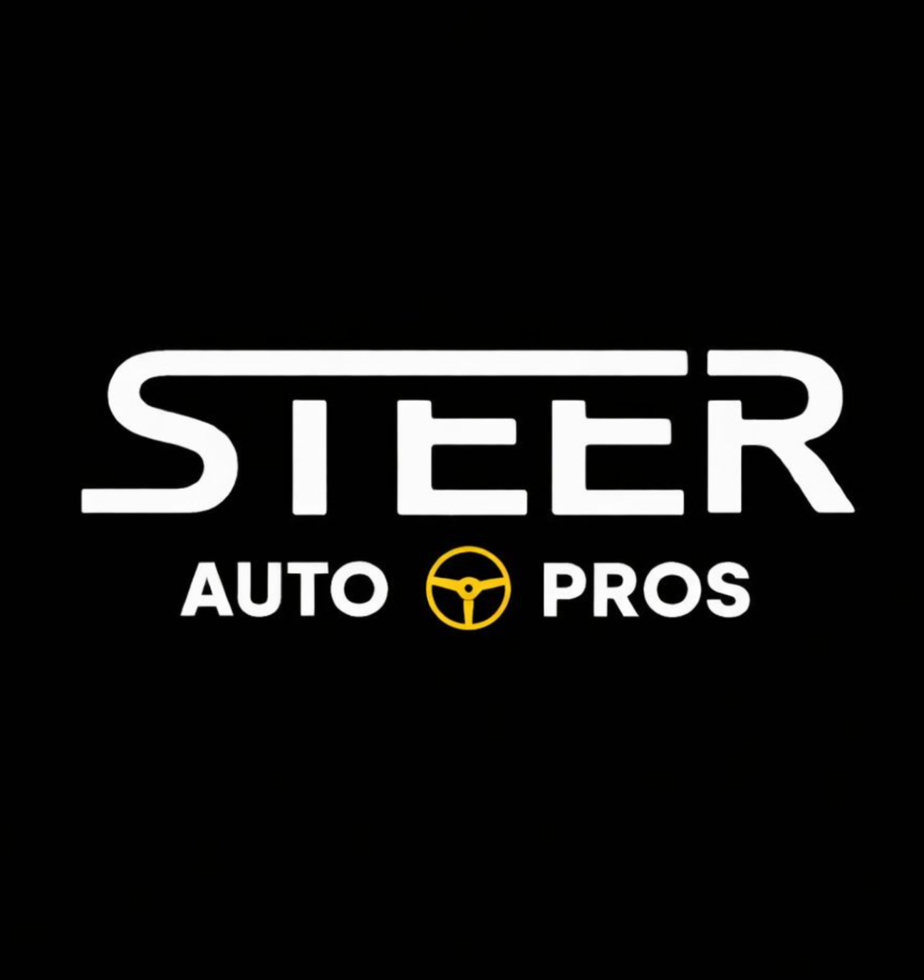 Steer logo